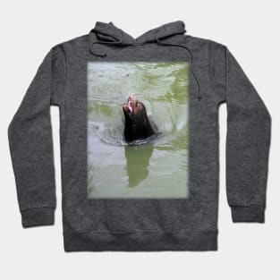 Gimme Fish...NOW Hoodie